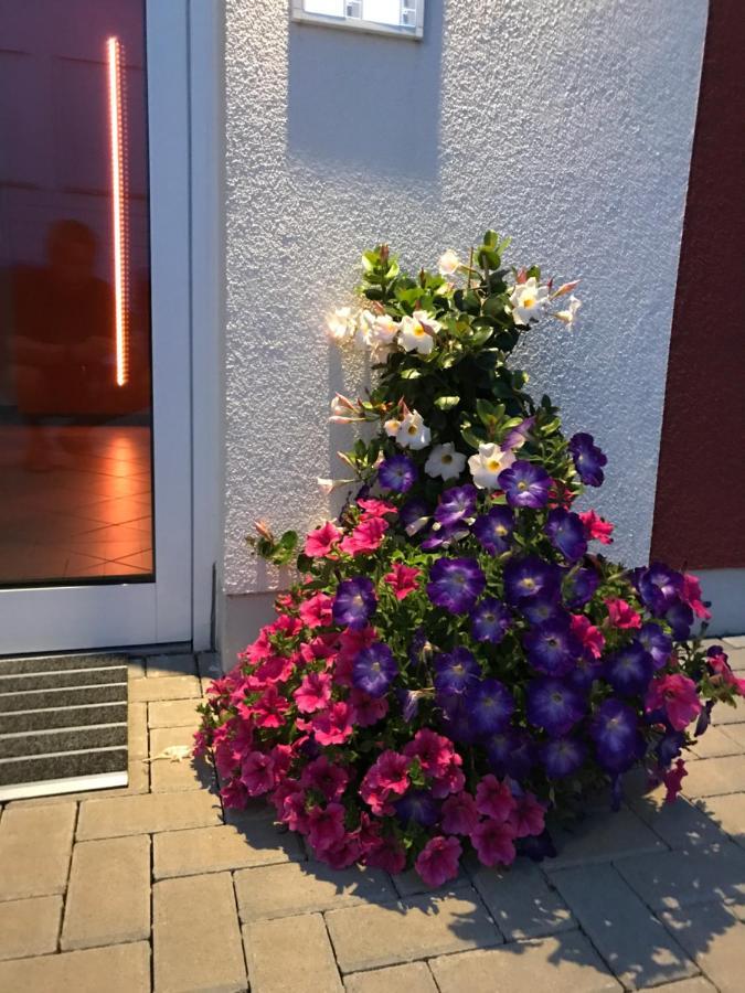 Ferienwohnungen Am Feldrain - Gornau Im Erzgebirge Zschopau Buitenkant foto
