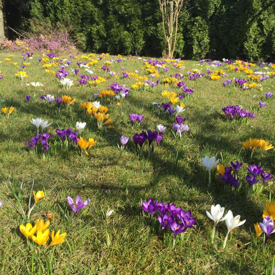 Ferienwohnungen Am Feldrain - Gornau Im Erzgebirge Zschopau Buitenkant foto